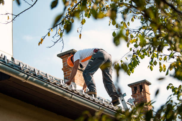Best Metal Roofing Installation  in The Pinehills, MA