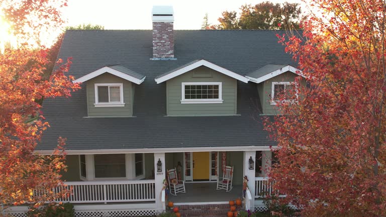 Best Roof Moss and Algae Removal  in The Pinehills, MA