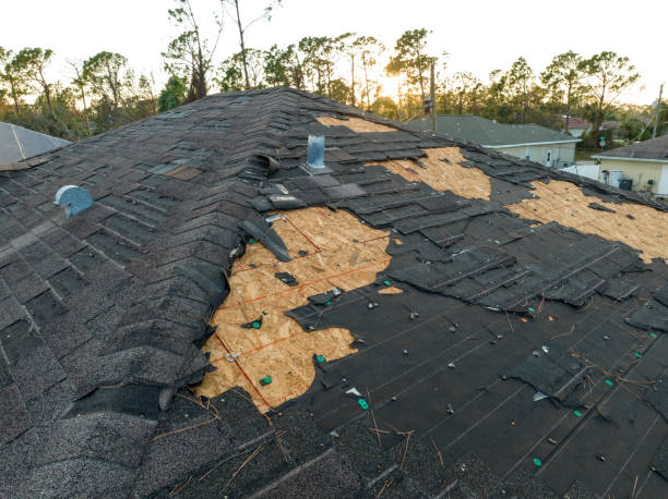 Best Metal Roofing Installation  in The Pinehills, MA
