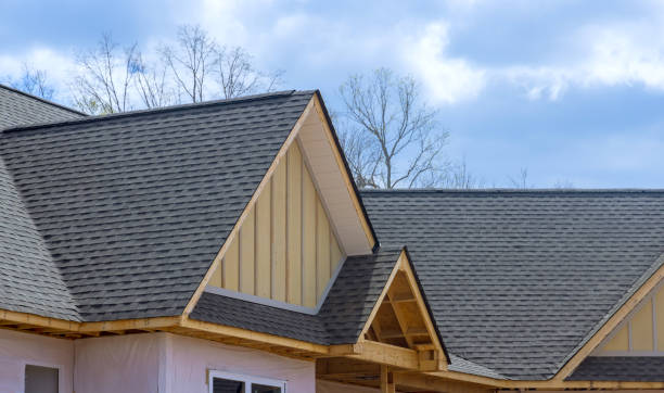 Best Solar Panel Roofing Installation  in The Pinehills, MA